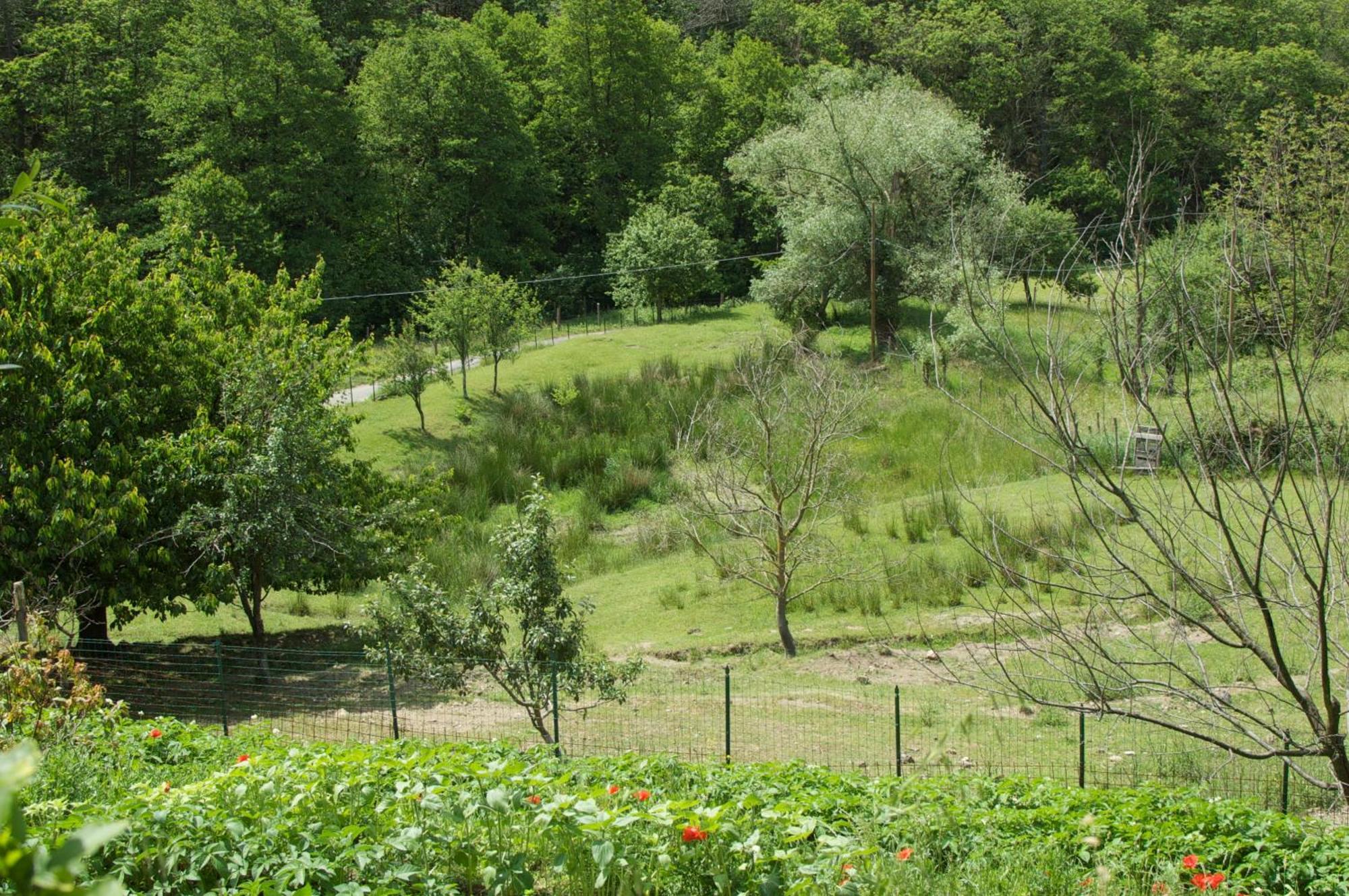 Affittacamere Graziella Vernazza Luaran gambar