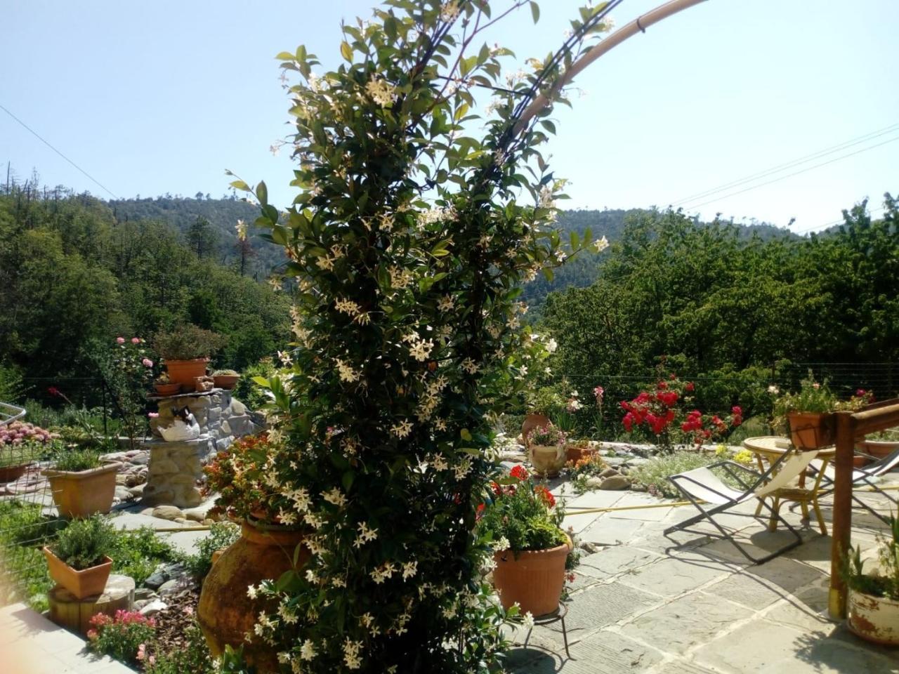Affittacamere Graziella Vernazza Luaran gambar